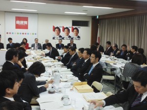 h26.1.30合同部会厚労大臣が入り医療法改正の議論②