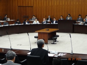 厚生労働委員会　参考人中川副会長